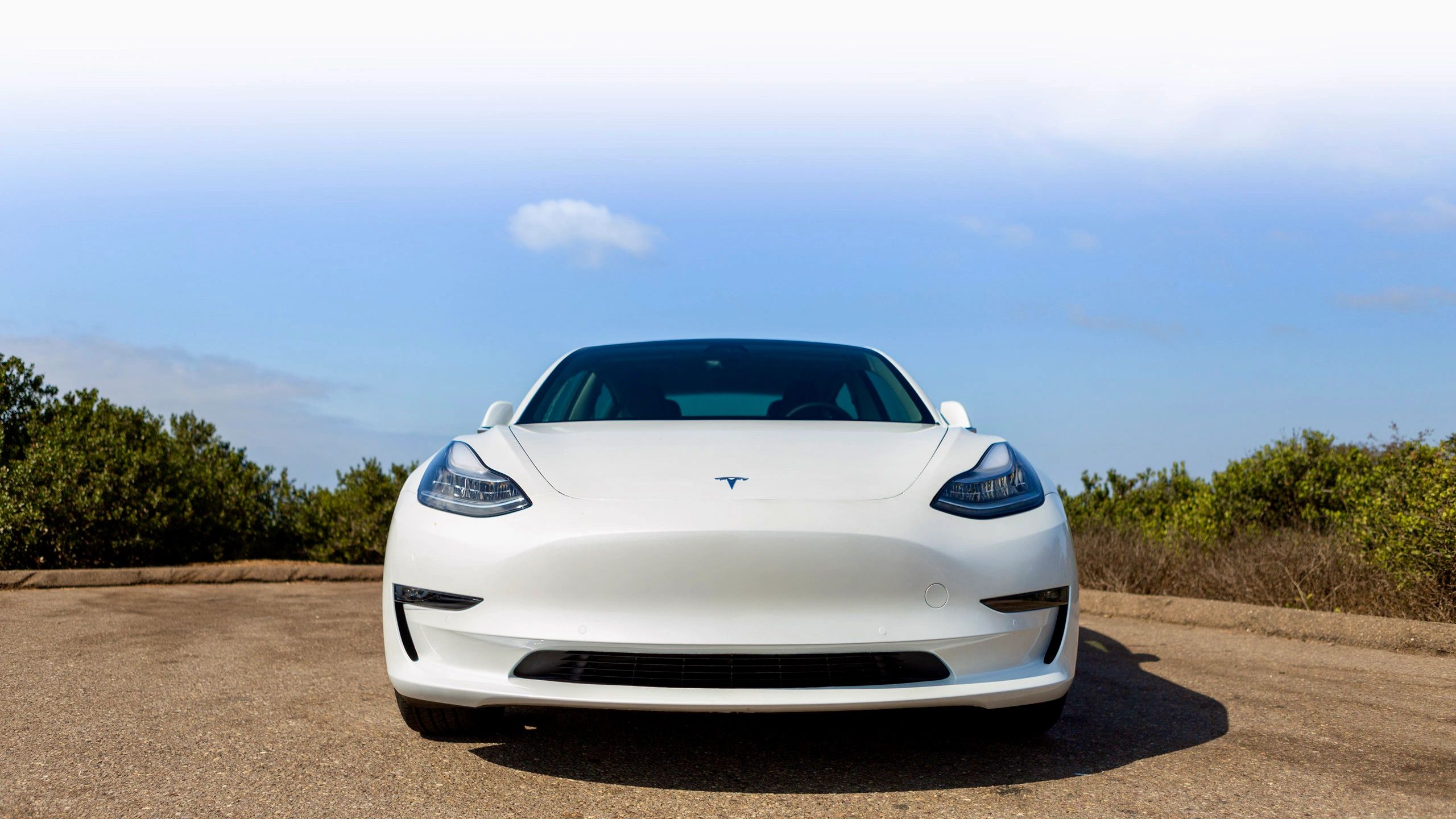 Tesla ceramic coating